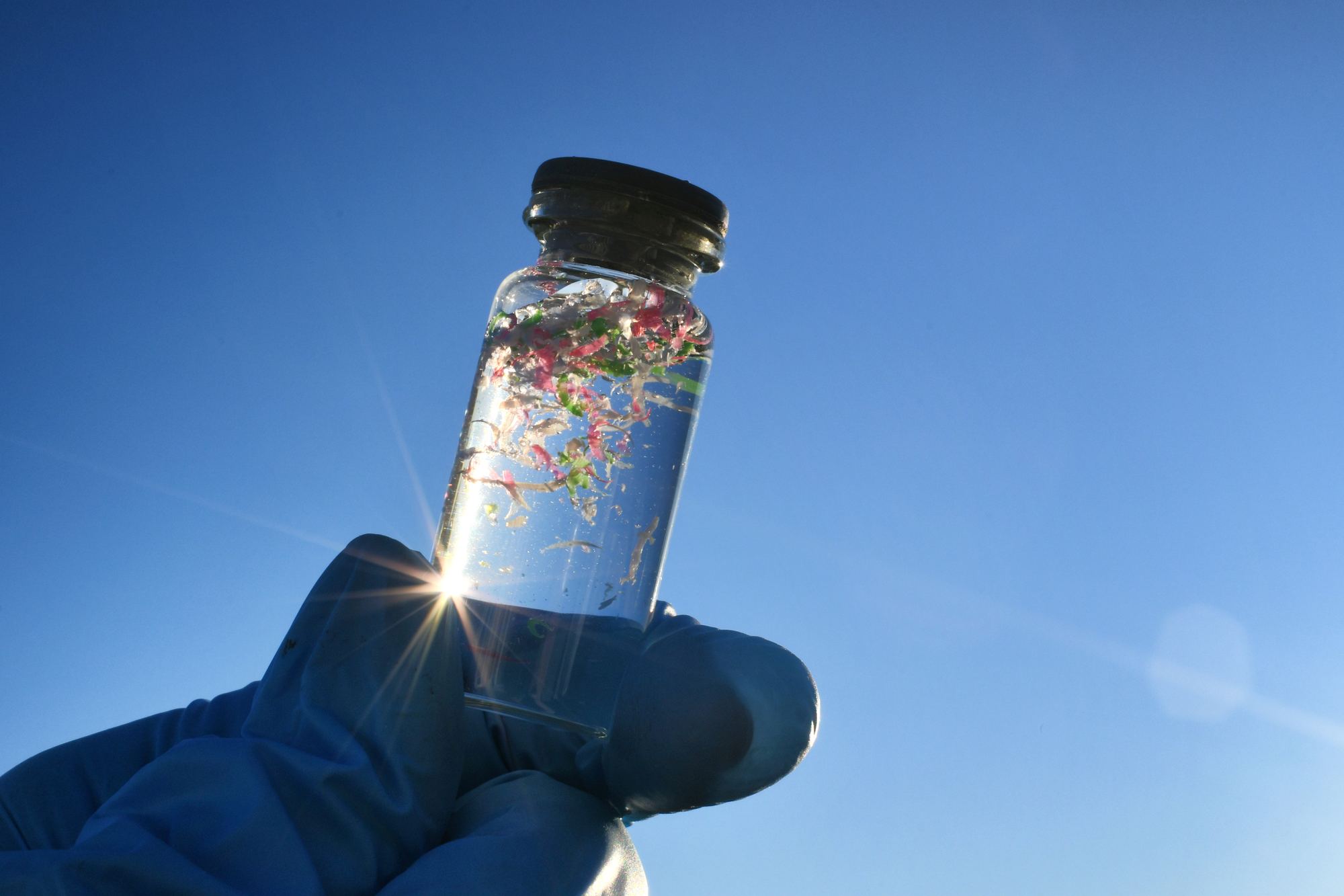 Próbka wody z widocznymi cząstkami mikroplastiku