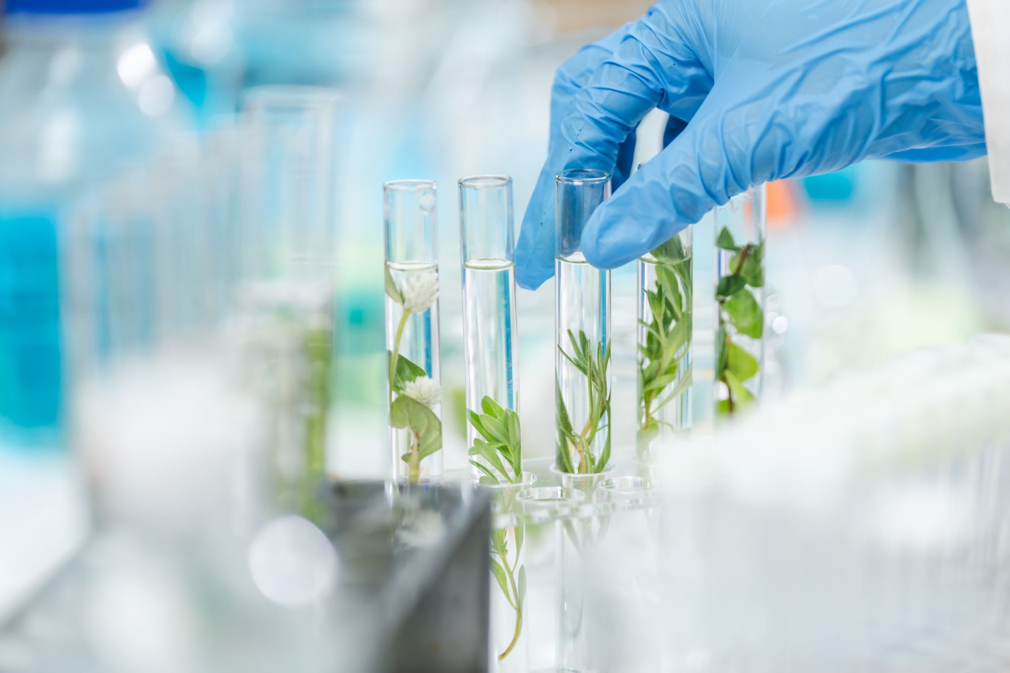 Badania laboratoryjne próbek roślin i wody