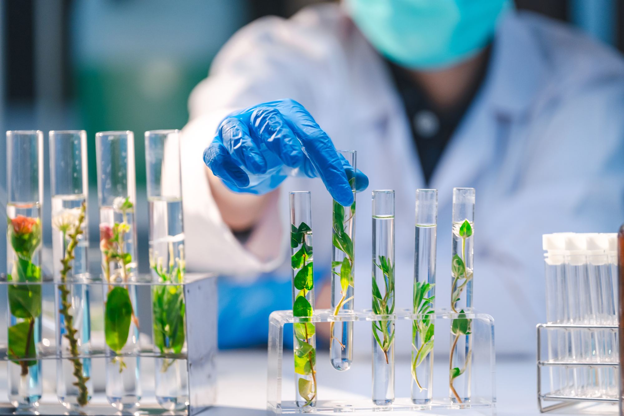 Praca laboratoryjna przy próbkach środowiskowych